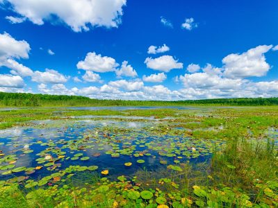 EPA Rule Change Would Strip Federal Protection From Most Wisconsin Wetlands