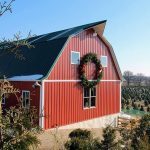 Tariffs Push Up Fake Tree Costs, Boost Real Tree Farms in Wisconsin