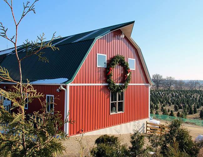 Tariffs Push Up Fake Tree Costs, Boost Real Tree Farms in Wisconsin