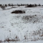 Conservation Projects Face 2026 Cutoff of State Stewardship Fund