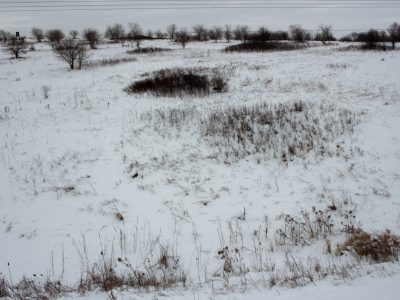 Conservation Projects Face 2026 Cutoff of State Stewardship Fund