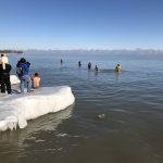 Entertainment: New Year, New Activities