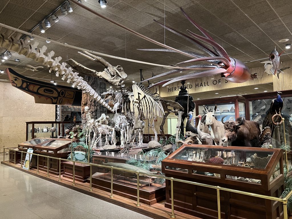 Materials at the Milwaukee Public Museum. Photo by Jeramey Jannene.