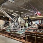 Entertainment: Hot Ideas To Beat The Cold