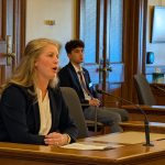 DEI, Veto Amendments Could Be on November Ballot