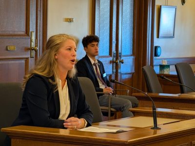 DEI, Veto Amendments Could Be on November Ballot