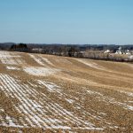 Farm Bankruptcies Rise in Wisconsin
