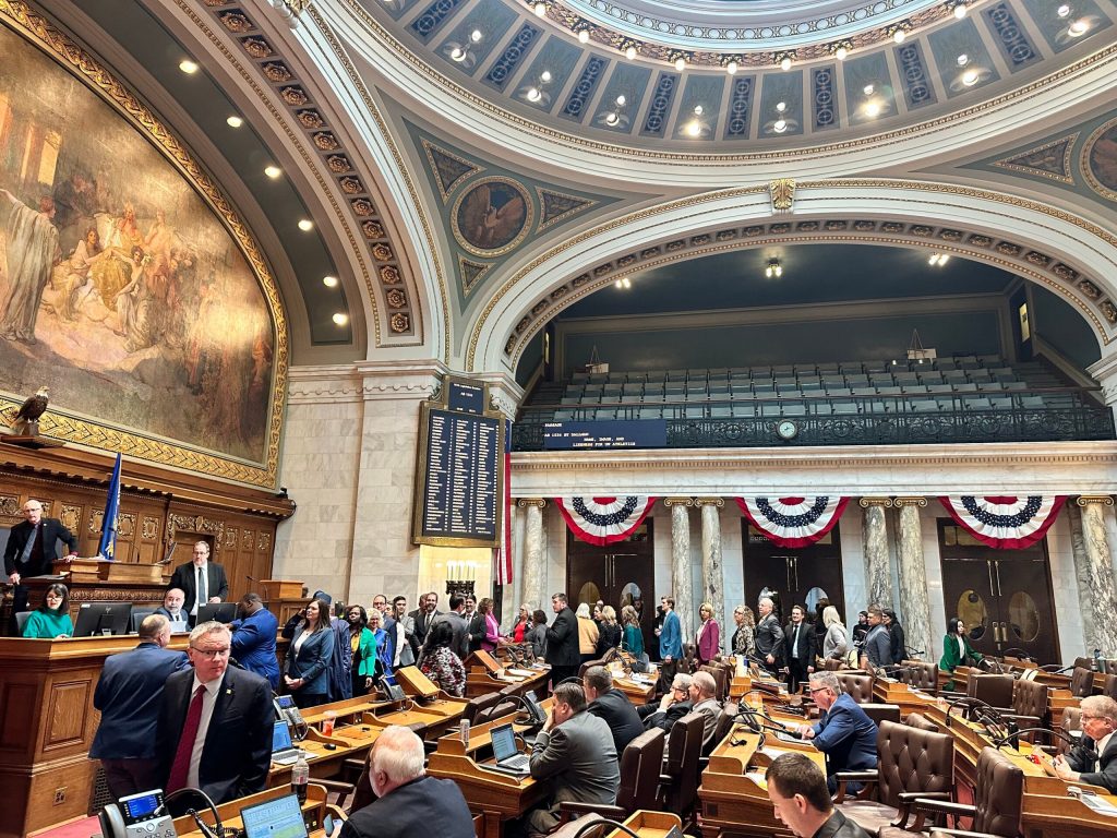 Democrats in the state Assembly line up to have their votes removed from the record after Republicans amended a bill on wake boat regulations with language that would establish a sandhill crane hunt. Anya Van Wagtendonk/WPR
