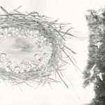 Lithographer Cynthia Brinich-Langlois’ Solo Show, “Inklings” Will Enchant Grove Gallery With Ecological Fantasy