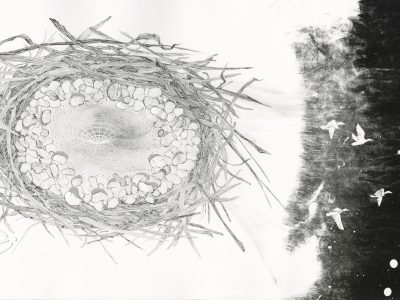Lithographer Cynthia Brinich-Langlois’ Solo Show, “Inklings” Will Enchant Grove Gallery With Ecological Fantasy