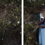 Special Edition Gallery Talk with Widline Cadet