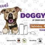 Doggy Day Returns to Deer District on Saturday, April 11, From 10 A.M. to 3 P.M.