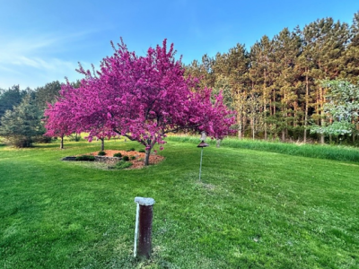 Celebrate and Protect Groundwater This Groundwater Awareness Week and Year-Round