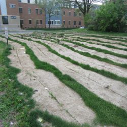 410 E. Center St.

Photo taken May 26, 2014 by Jeramey Jannene. All Rights Reserved.