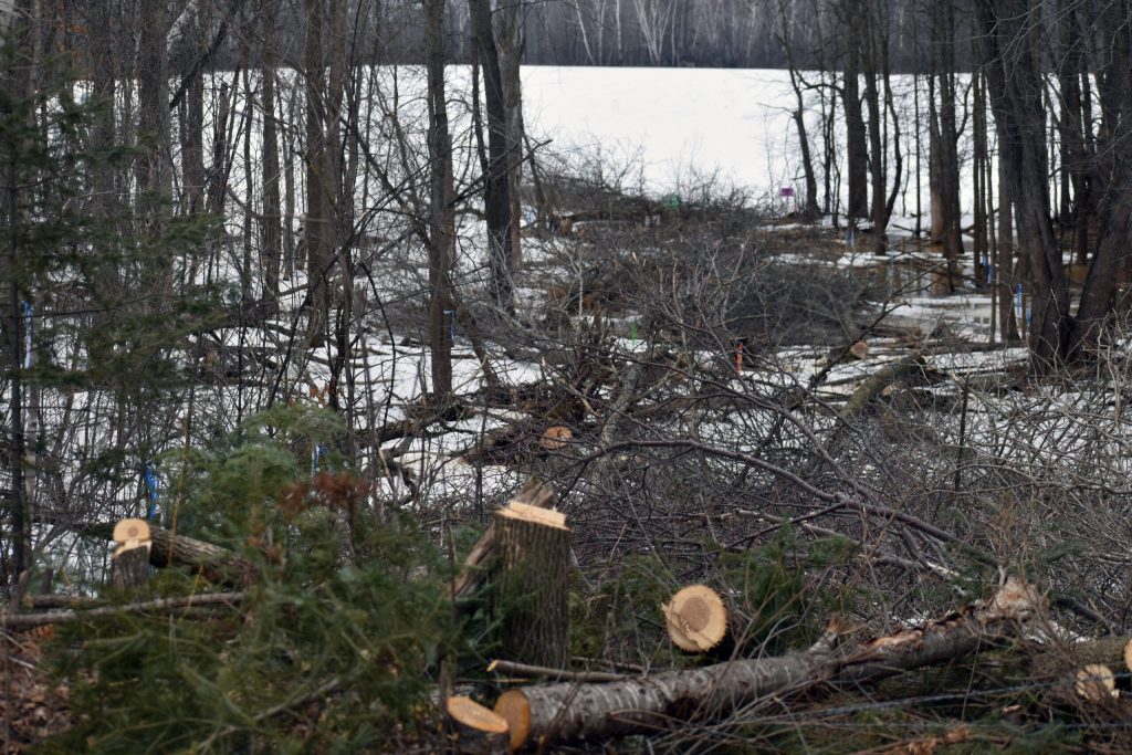 The right-of-way for Enbridge’s Line 5 reroute can be seen off Marengo River Road in Ashland County. Danielle Kaeding/WPR
