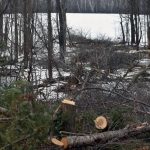 Why A 41-Mile Pipeline Reroute In Ashland County Has International Stakes