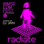 WMSE Celebrates 45 Years With Launch of New Radiate Festival