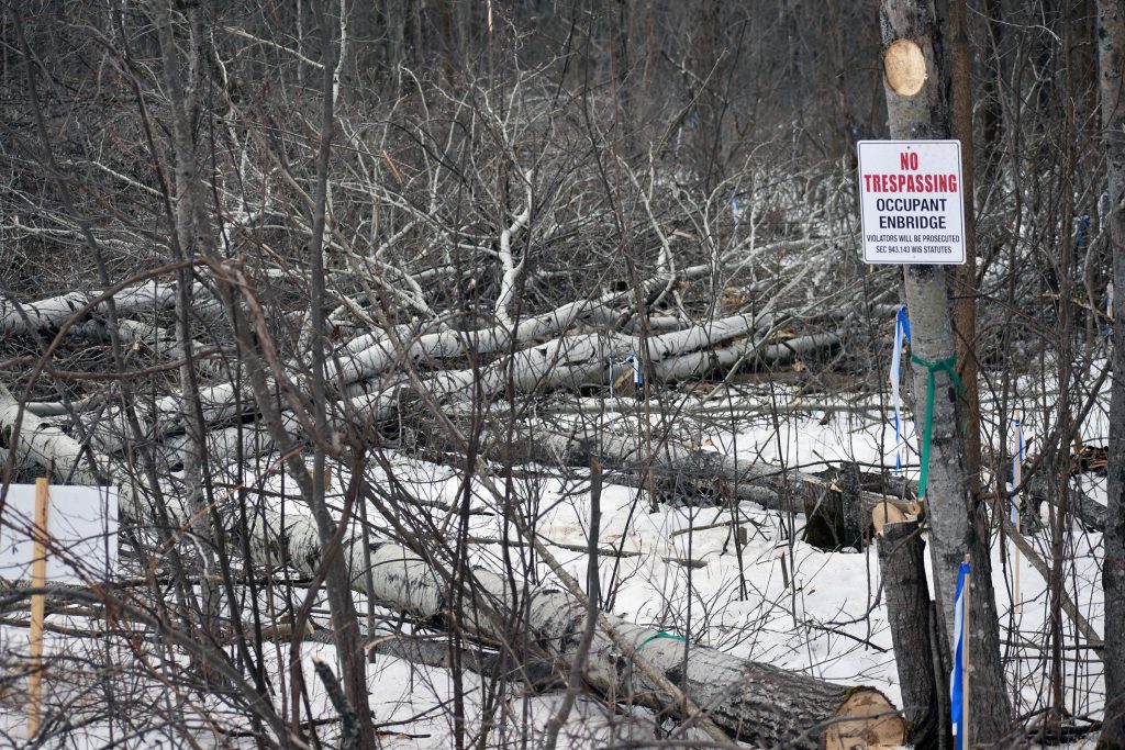 Trees have been cleared just off a road where the path of Enbridge’s Line 5 reroute runs. Danielle Kaeding/WPR