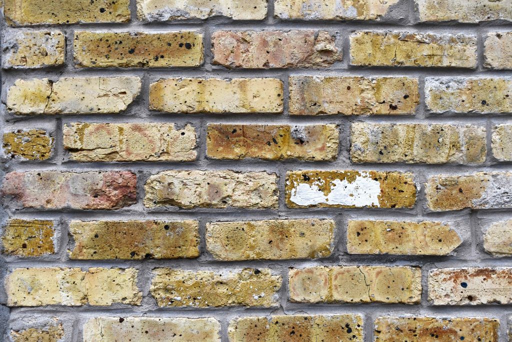 Cream city bricks. Photo taken April, 9, 2026 by Ben Tyjeski.