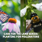 Bike to the Beach: Clean-Up Ride