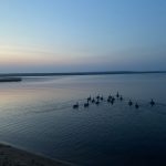 Earth Day 2026 Arrives at Fraught Climate Moment