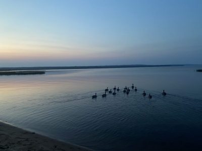 Earth Day 2026 Arrives at Fraught Climate Moment