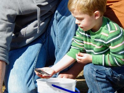 Sturgeon No. 985120031641132 Makes Historic Milwaukee River Journey