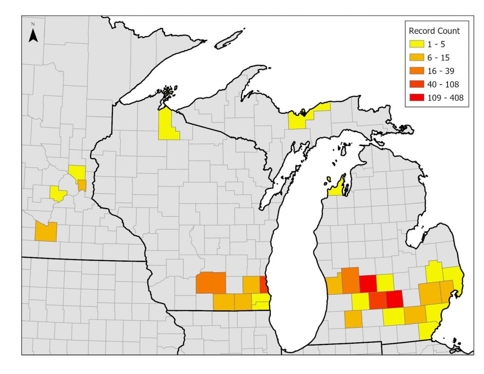 Map of lesser celandine detections in Upper Midwest. Photo courtesy of Wisconsin First Detector Network