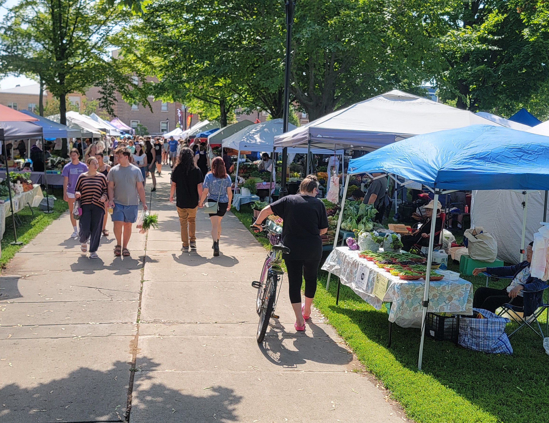 27 Wisconsin Farmers Markets Receive Grants From Compeer Financial