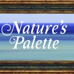 Schlitz Audubon 2026 Gala: Nature’s Palette