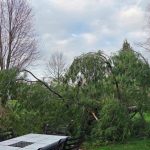 Debris From Recent Storms and Dry Forecast Increase Risk of Wildfires