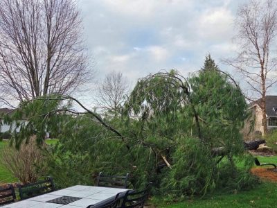 Debris From Recent Storms and Dry Forecast Increase Risk of Wildfires