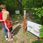 Discover the Jackson Park Forest Storybook Hike – Explore the Story in the Understory