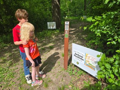 Discover the Jackson Park Forest Storybook Hike – Explore the Story in the Understory