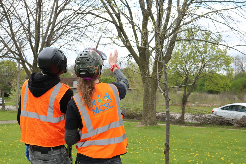 Thaddeus Clay (left) and Joey Puchalski examine a tree during pruning. Photo taken May 6, 2026 by Sophie Bolich.