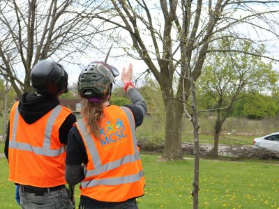 Program Provides ‘Crash Course’ for Aspiring Arborists