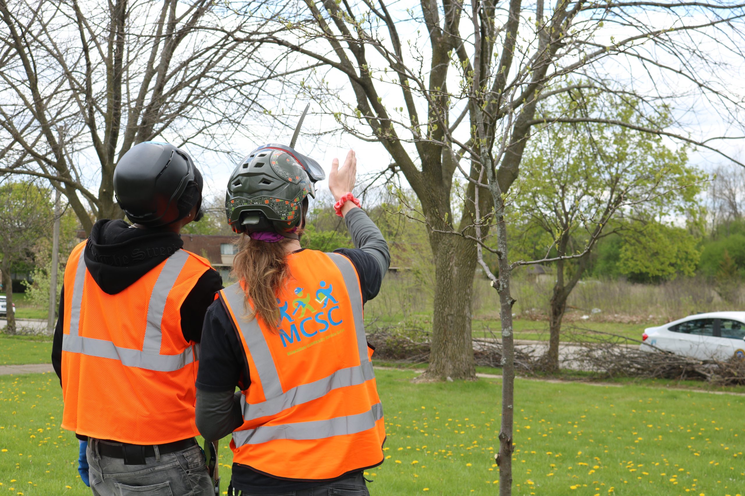 Program Provides ‘Crash Course’ for Aspiring Arborists