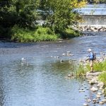 Wisconsinites Support Fee Hikes to Sustain DNR Programs