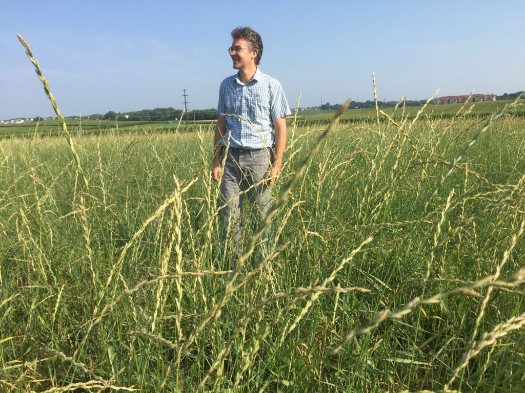 Valentin Picasso, associate professor in the UW–Madison Department of Agronomy, standing in a field of KernzaⓇ, a perennial grain crop. Photo courtesy of Picasso