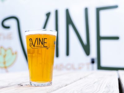 The Vine Humboldt Beer Garden Reopens for the 2026 Season on May 21st