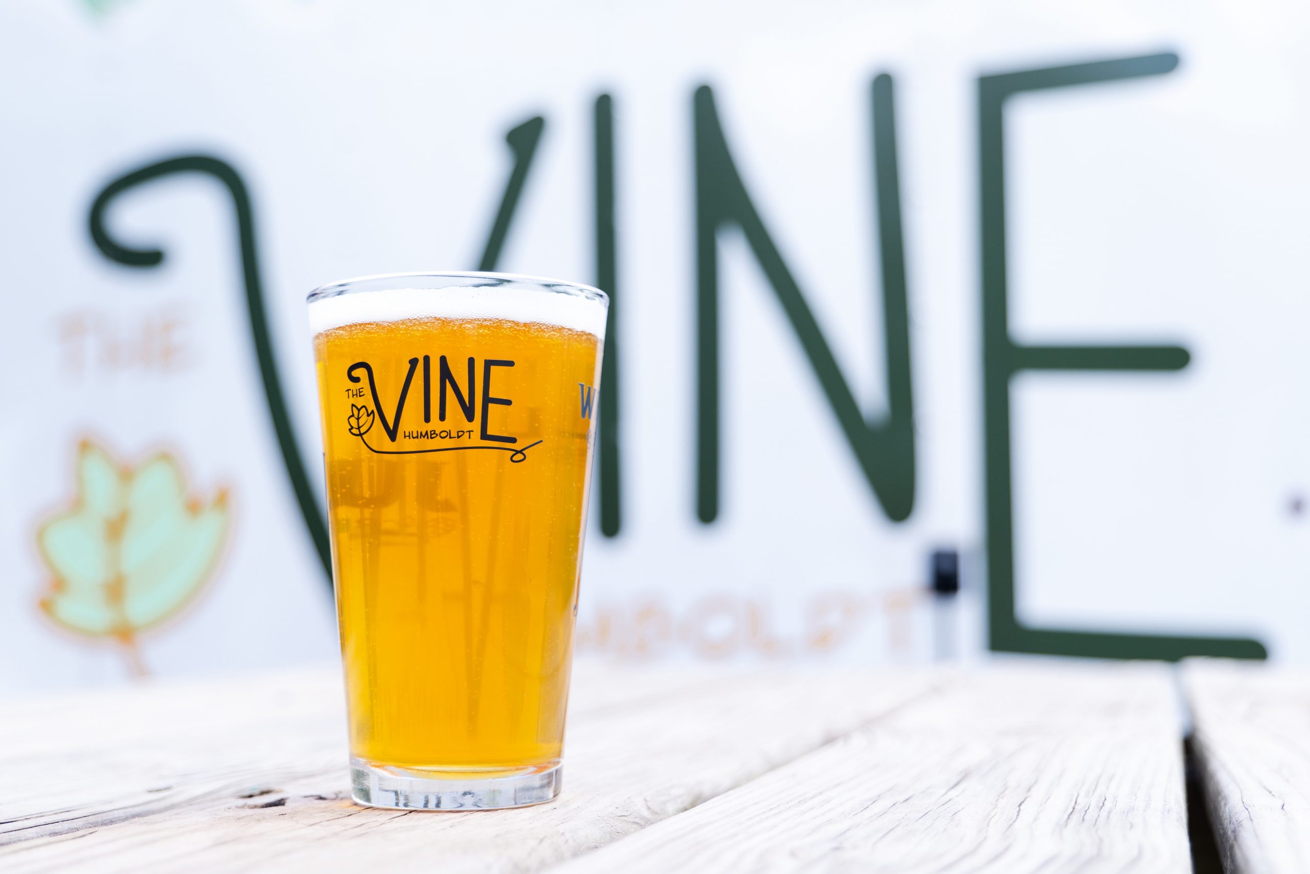 The Vine Humboldt Beer Garden Reopens for the 2026 Season on May 21st