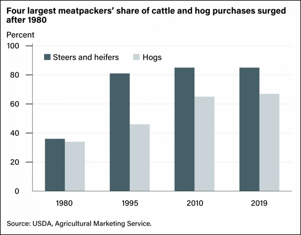Between 1980 and 2019, the four largest meatpacking compnies in the U.S. came to dominate the market for cattle and hog producers. (US Department of Agriculture graphic)
