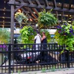 Festival of Flowers