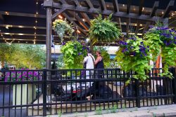 Riverwalk Commons - Festival of Flowers. Photo courtesy of the Milwaukee Public Market.