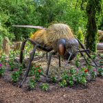 Step Into the World of Pollinators at the Zoo