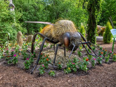Step Into the World of Pollinators at the Zoo