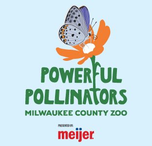 Sponsored: Milwaukee County Zoo Pollinators 2026