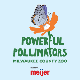 Sponsored: Milwaukee County Zoo Pollinators 2026 » Urban Milwaukee