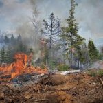 Wisconsin Experiencing Critical Fire Danger May 14-16
