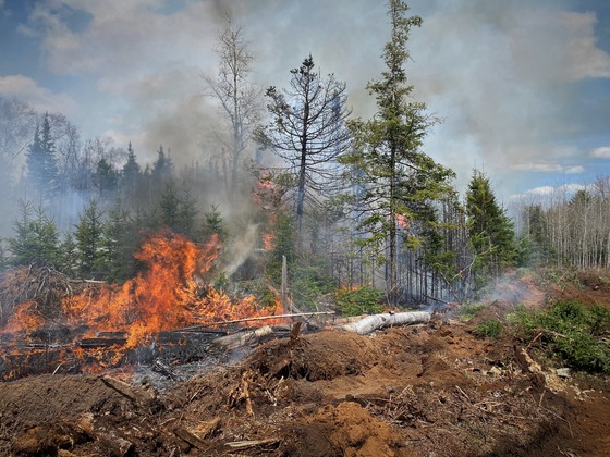 Fire danger is expected to reach Critical levels across Northern Wisconsin Thursday, May 14 through Saturday, May 16. The public is asked to avoid outdoor burning activities until conditions improve. / Photo Credit: Wisconsin DNR